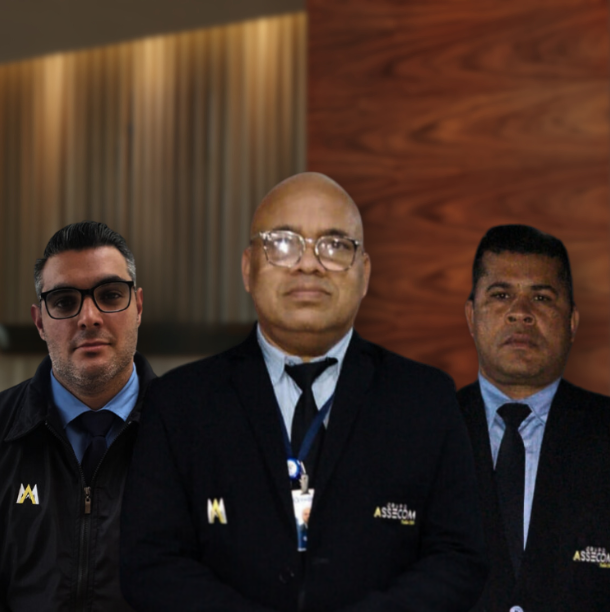 Grupo Assecon